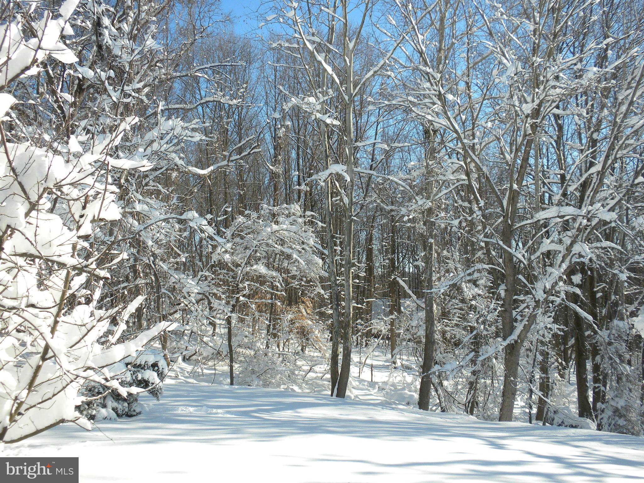 10815 Sandringham Road Cockeysville, MD 21030 - Photo 30 of 30 Winter Wonderland in Prior Years