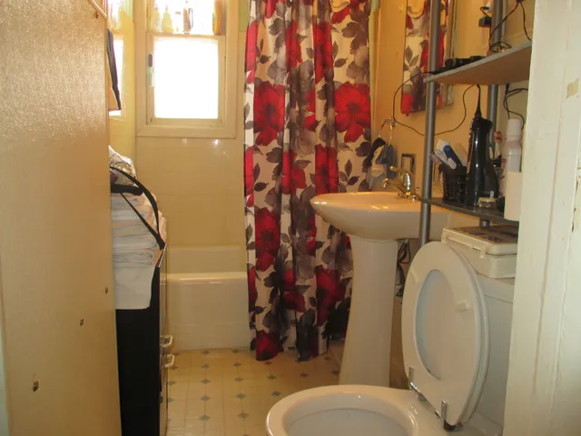 a bathroom with a toilet and a shower curtain