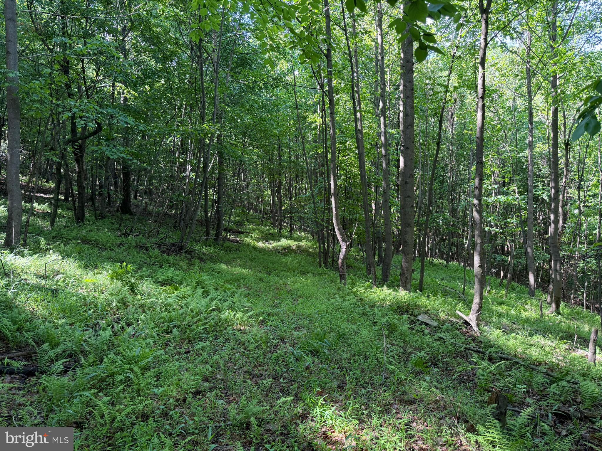 848 Sugar Camp Road Clearfield, PA 16830 - Photo 99 of 118