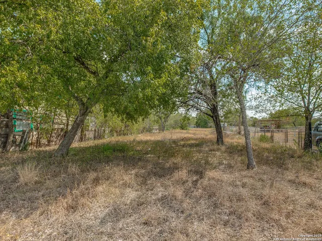 a view of a yard with a tree