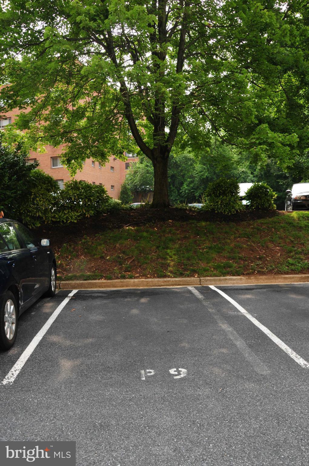 2725 39th Street Northwest, Unit 504 Washington, DC 20007 - Photo 18 of 18 PARKING INCLUDED!!!!!