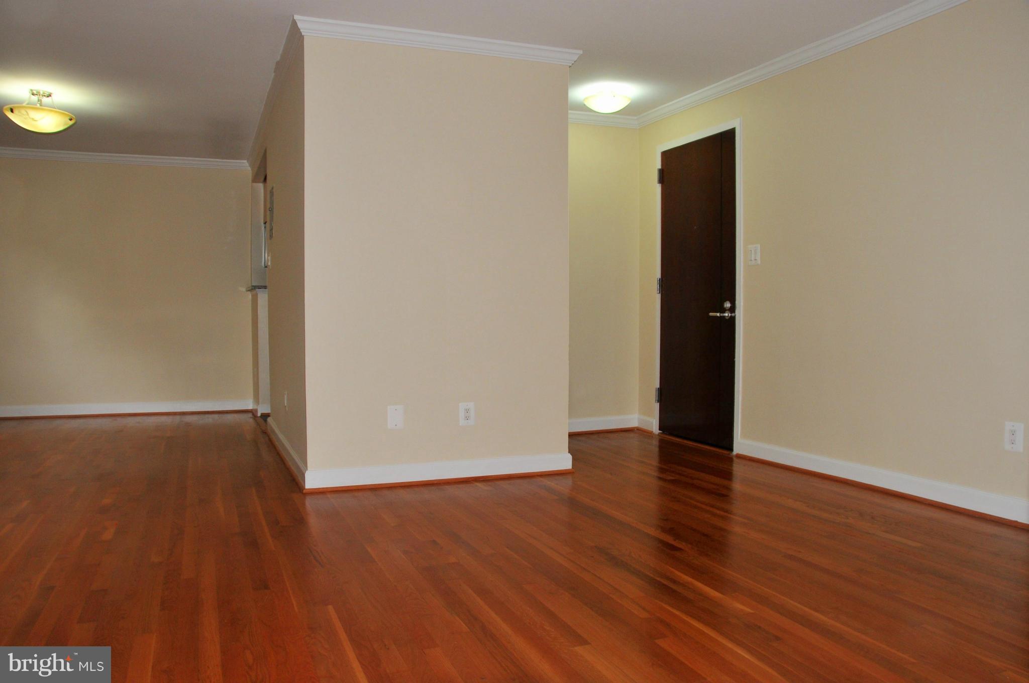 2725 39th Street Northwest, Unit 504 Washington, DC 20007 - Photo 8 of 18 Entrance ( LARGE ENTRAY CLOSET)