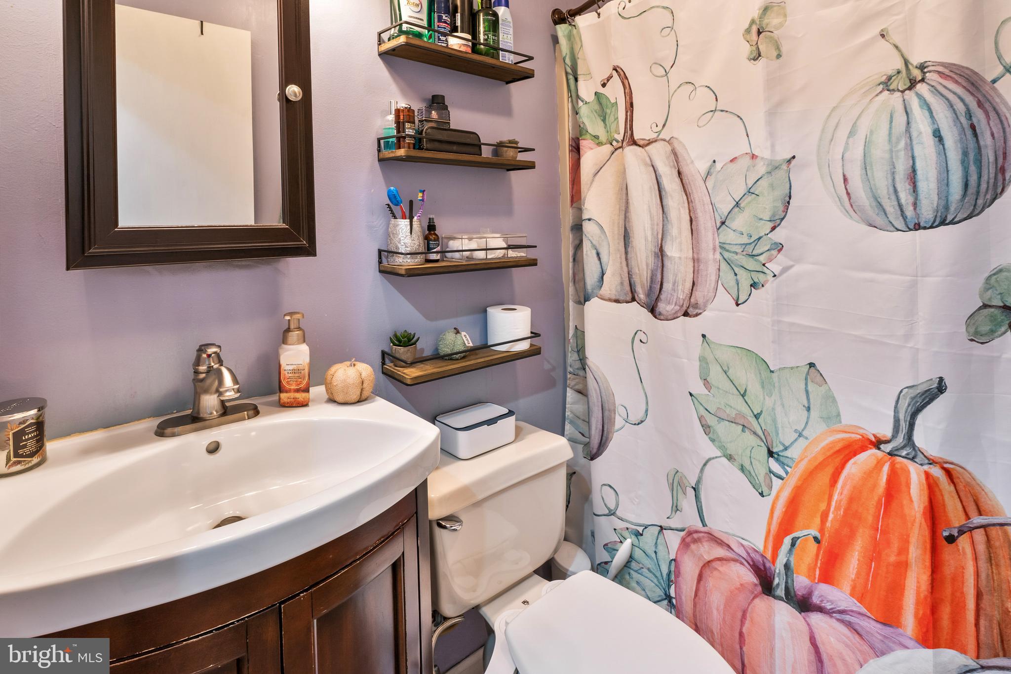 311 Tyler Avenue Carneys Point, NJ 08069 - Photo 18 of 29 a bathroom with a sink and a mirror