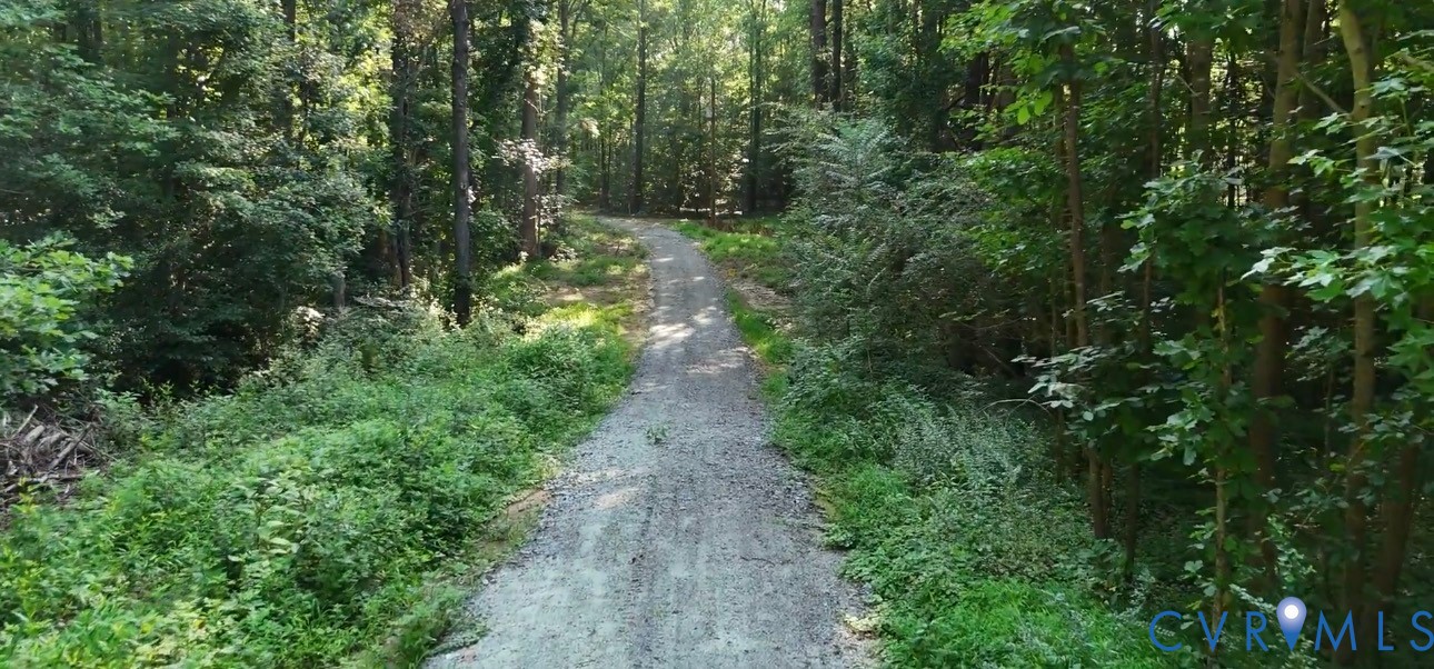 14711 Gatewood Road Dewitt, VA 23840 - Photo 3 of 5 Gravel Driveway