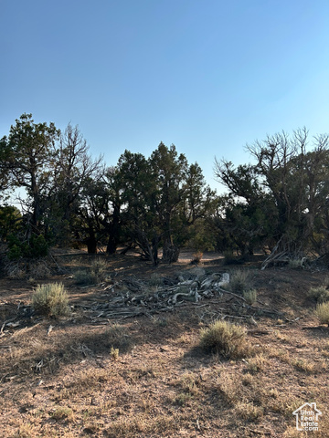 18687 West Smiley Road, Unit 33 Duchesne, UT 84021 - Photo 3 of 14 View of nature