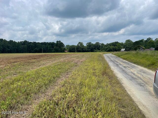 0 Fire Tower Road Rose Hill, NC 28458 - Photo 11 of 13 Cottle Lane 3