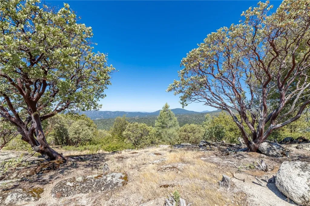 49 Old Yosemite Road Oakhurst, CA 93644 - Photo 25 of 41