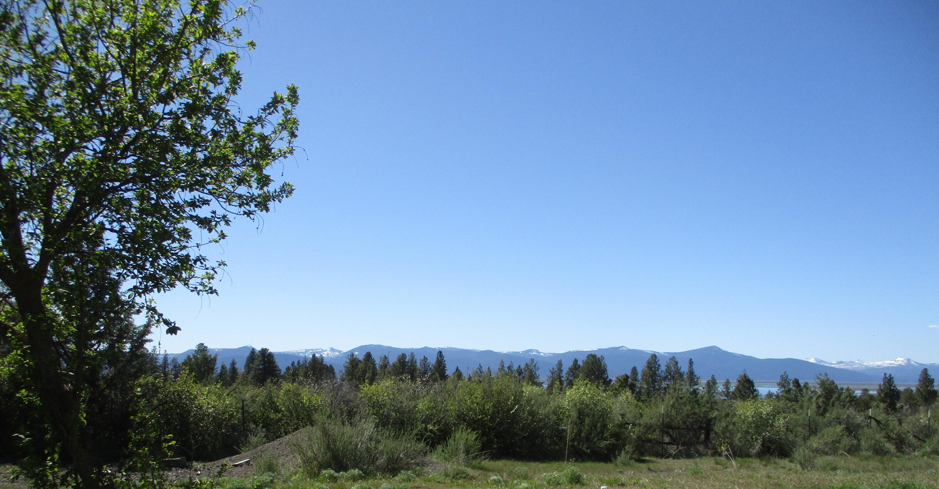 36141 David Street Chiloquin, OR 97624 - Photo 11 of 43 IMG_0927