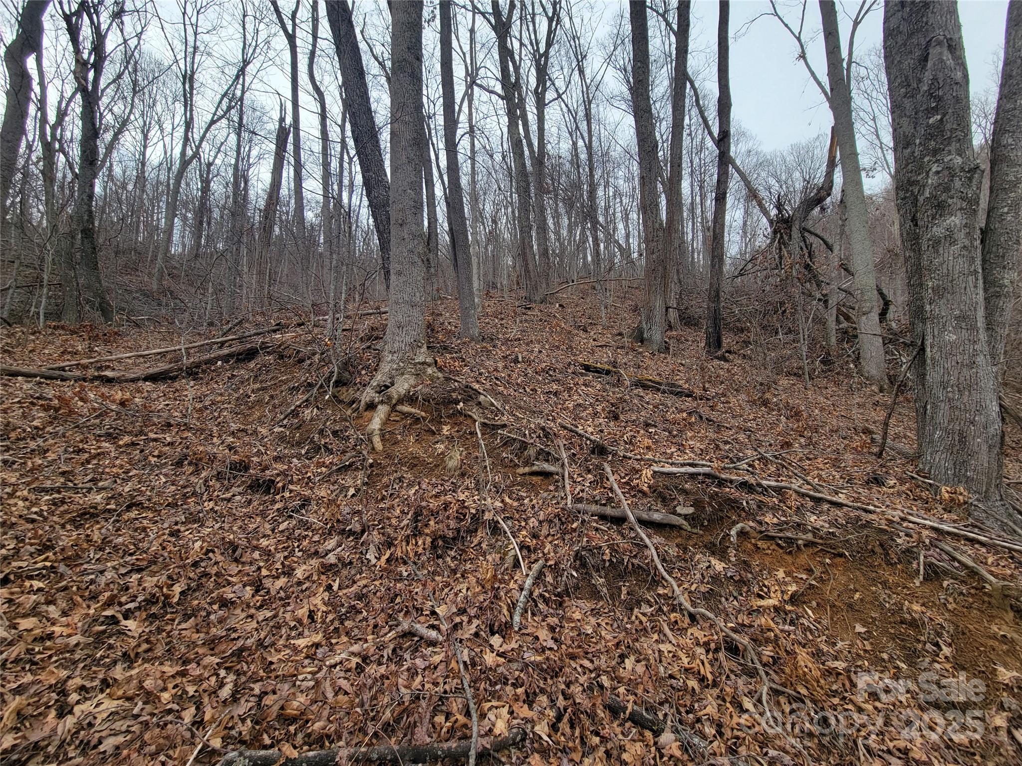 2100 Chambers Mountain Road Clyde, NC 28721 - Photo 14 of 22 a view of a backyard of the house