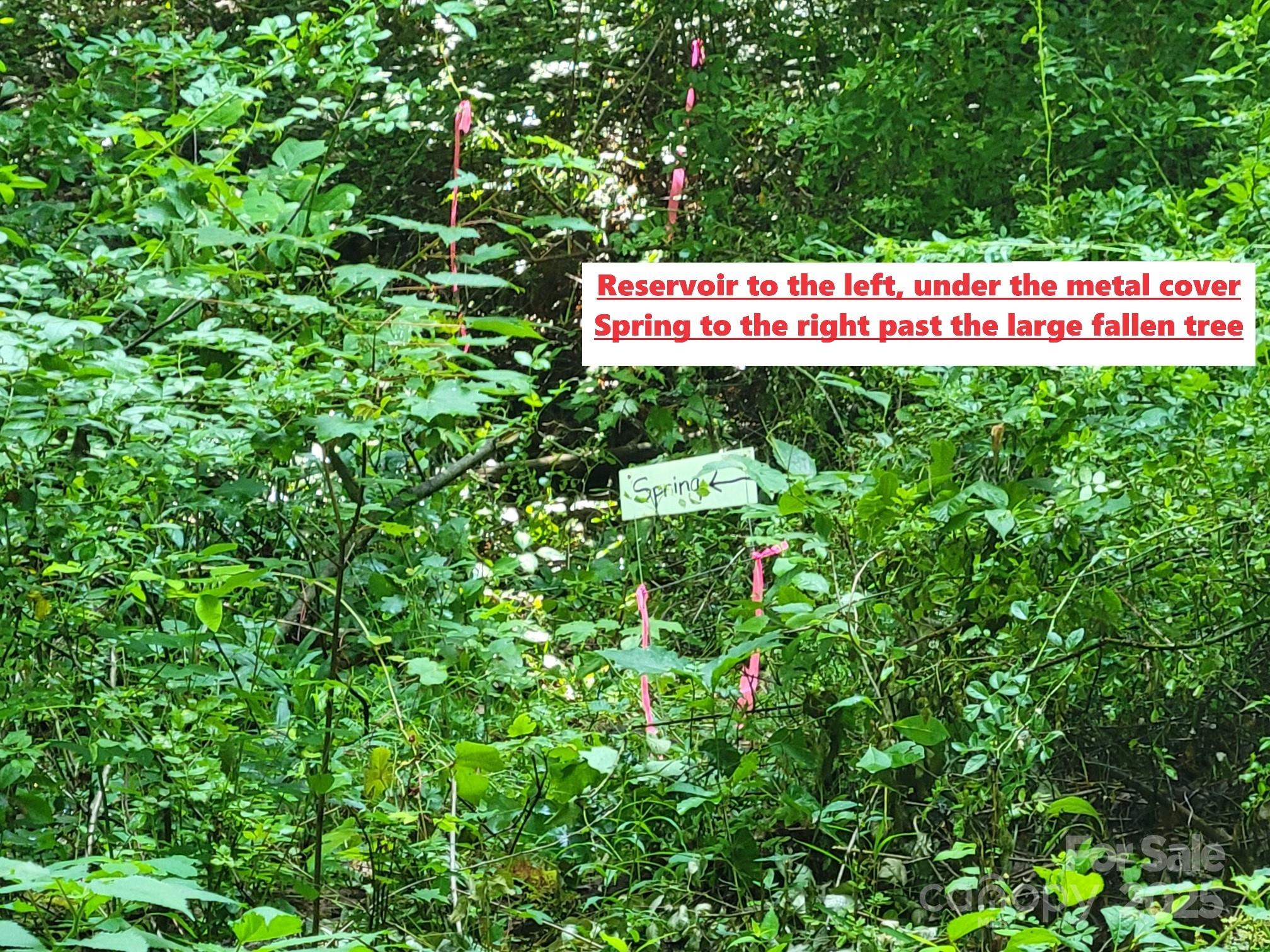 2100 Chambers Mountain Road Clyde, NC 28721 - Photo 19 of 22 a sign on the side of the tree