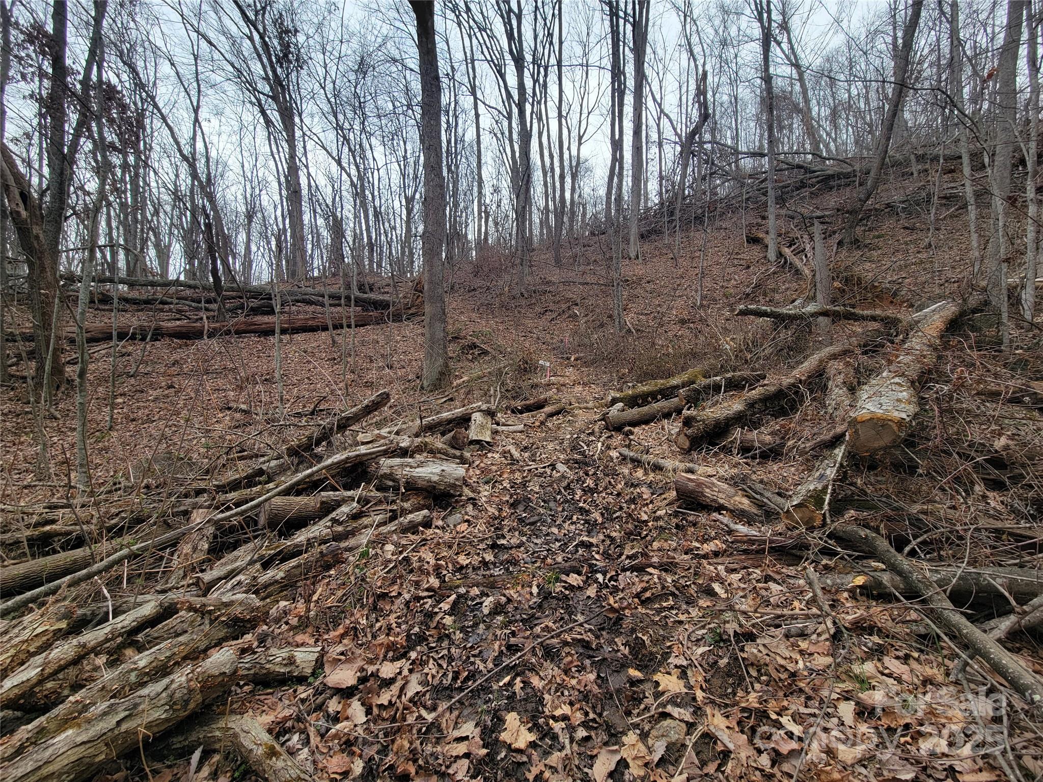 2100 Chambers Mountain Road Clyde, NC 28721 - Photo 4 of 22 a view of outdoor space with wooden fence