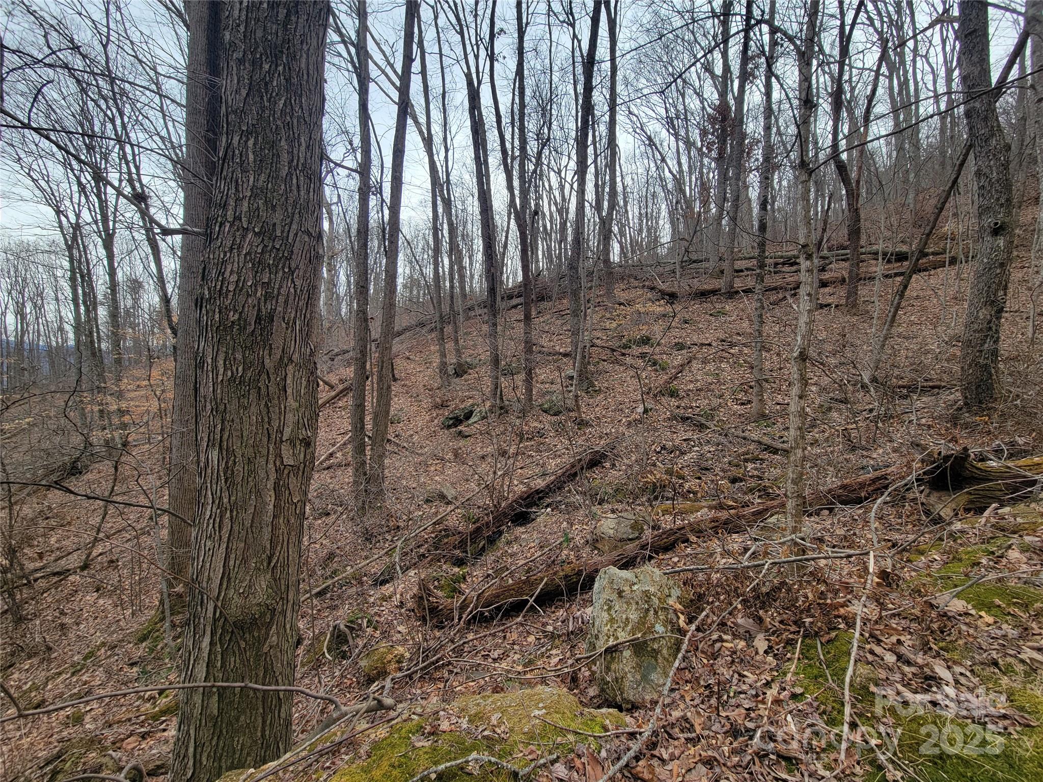 2100 Chambers Mountain Road Clyde, NC 28721 - Photo 9 of 22 a view of a backyard of the house