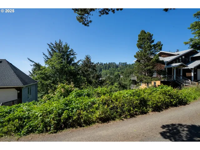 a view of outdoor space and yard
