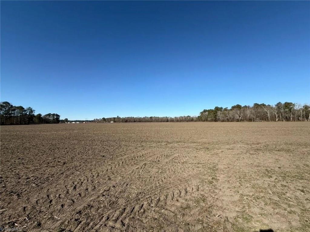 0 Hammonds Road Lumberton, NC 28360 - Photo 12 of 19
