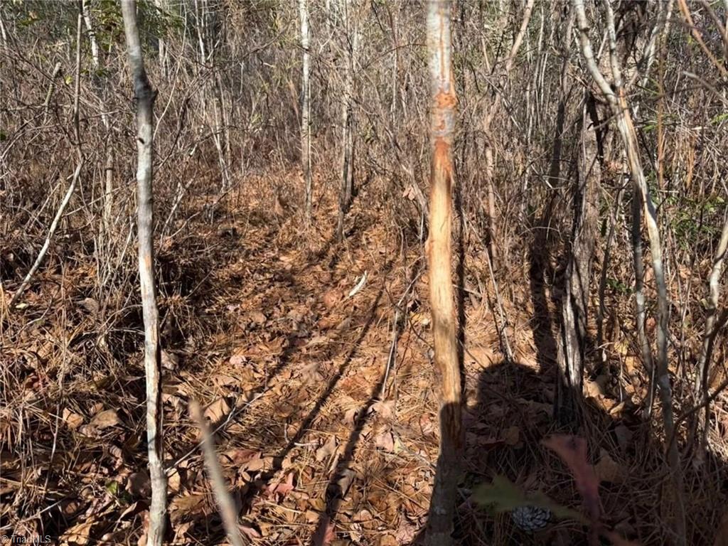 0 Hammonds Road Lumberton, NC 28360 - Photo 14 of 19