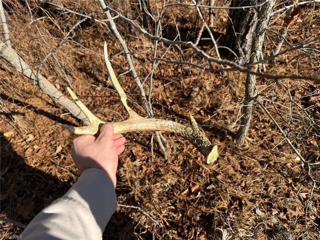 0 Hammonds Road Lumberton, NC 28360 - Photo 15 of 19