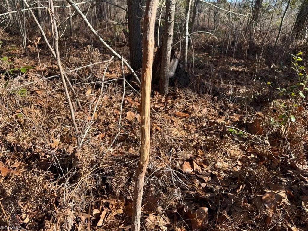 0 Hammonds Road Lumberton, NC 28360 - Photo 16 of 19