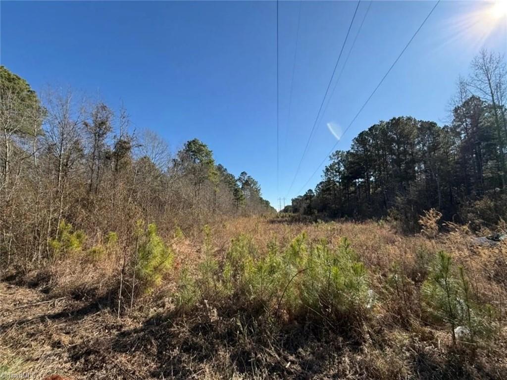 0 Hammonds Road Lumberton, NC 28360 - Photo 17 of 19