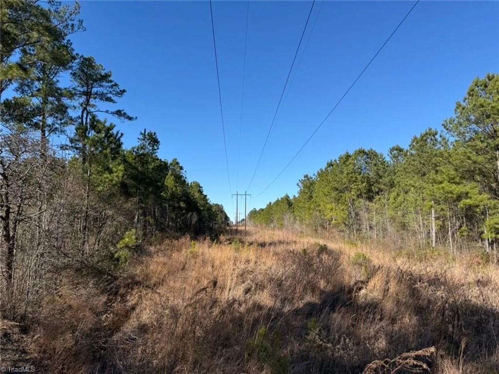 0 Hammonds Road Lumberton, NC 28360 - Photo 18 of 19