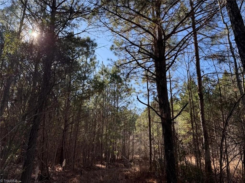 0 Hammonds Road Lumberton, NC 28360 - Photo 19 of 19