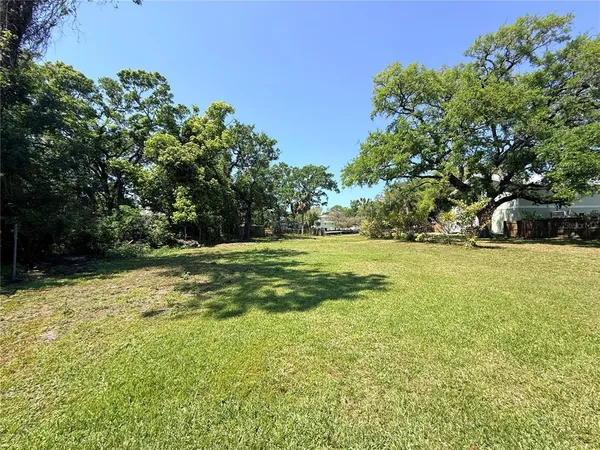 a view of backyard with green space