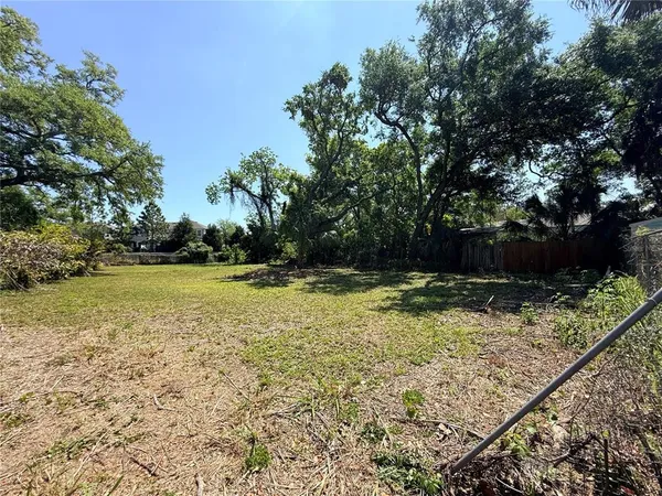 a view of a tree in a yard