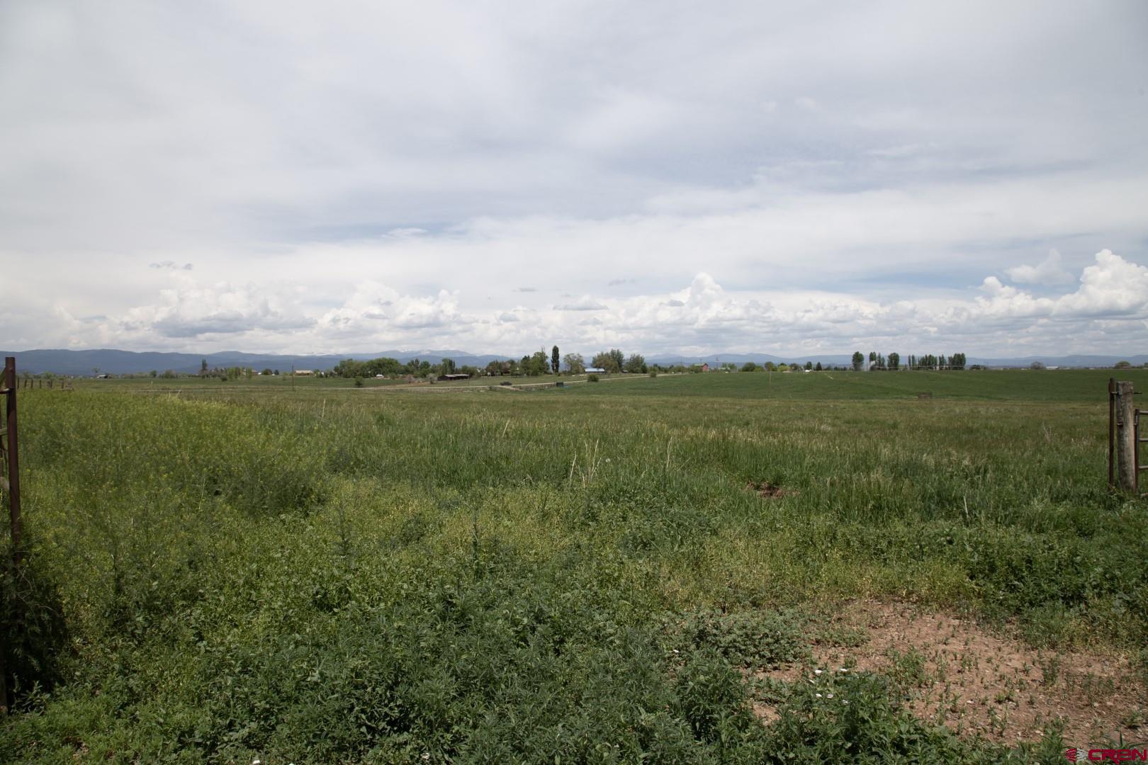 Tbd County Road 301 Durango, CO 81303 - Photo 2 of 11 an aerial view of residential houses with outdoor space and trees