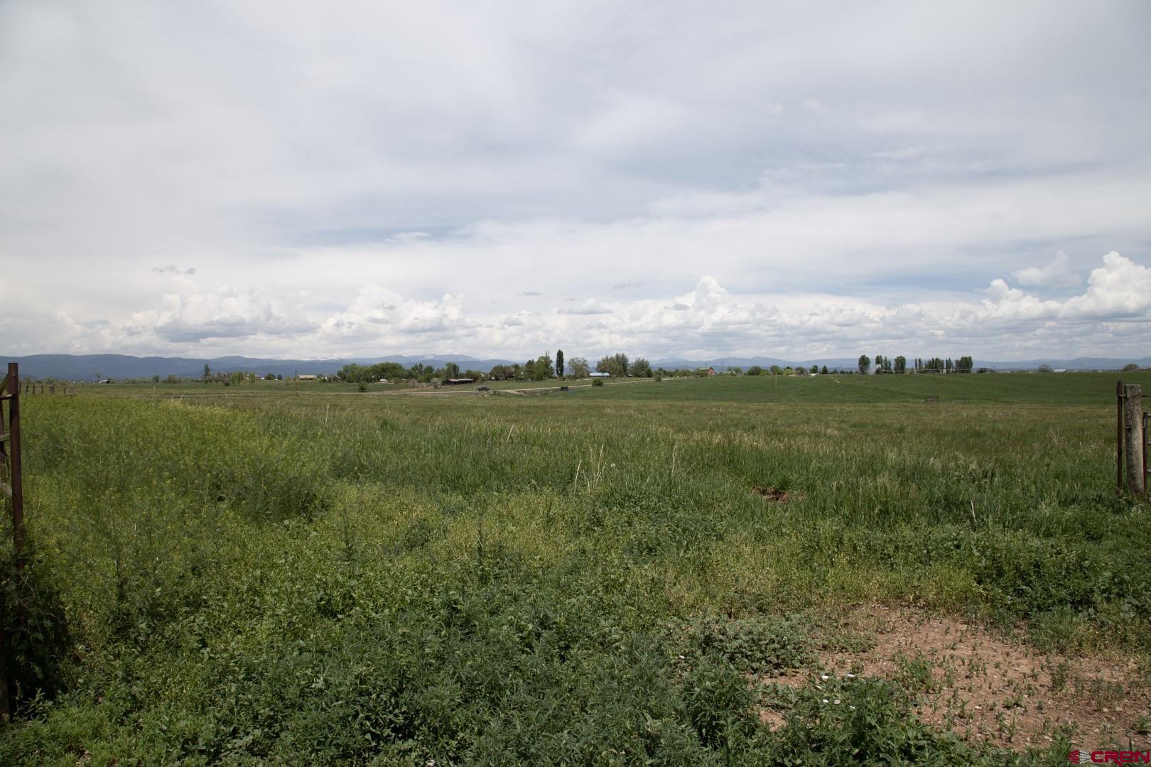 Tbd County Road 301 Durango, CO 81303 - Photo 3 of 11 an aerial view of residential houses with outdoor space and trees
