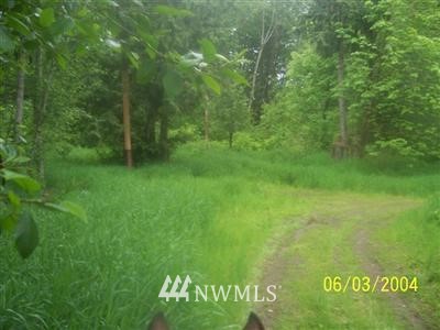 -l-1 Peters Road Randle, WA 98377 - Photo 1 of 1 Gallery Image 1