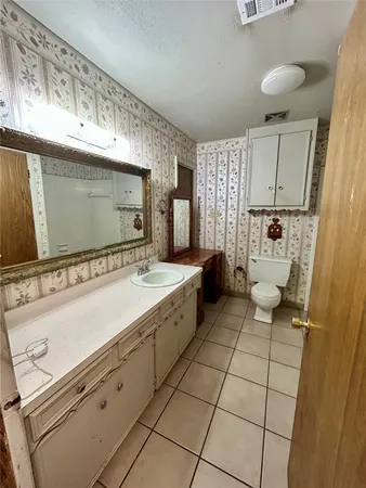 a bathroom with a sink a toilet and mirror