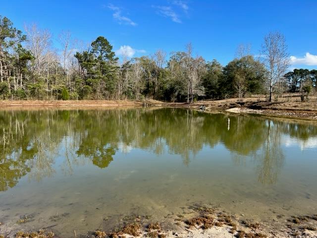 0 Middleton Road Dothan, AL 36301 - Photo 3 of 5