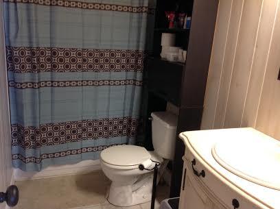 391 Graham Road Soddy Daisy, TN 37379 - Photo 22 of 29 Graham full bath