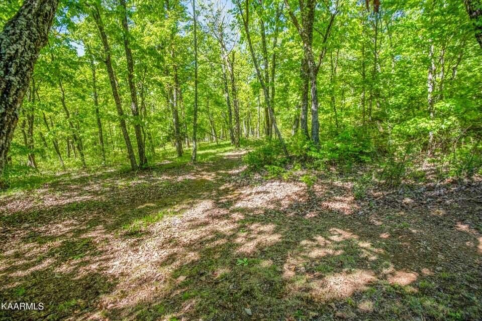 699 Lowes Gap Road Spring City, TN 37381 - Photo 38 of 41 Gallery Image 38