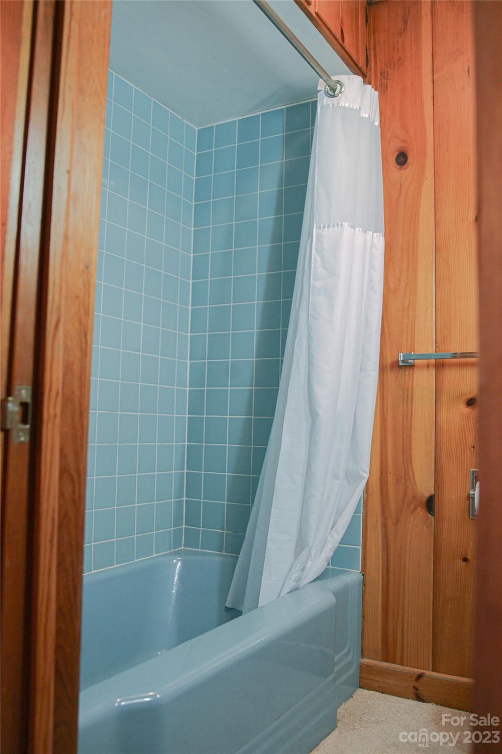 35 Rhododendron Avenue Spruce Pine, NC 28777 - Photo 25 of 37 a bathroom with a shower and a bath tub