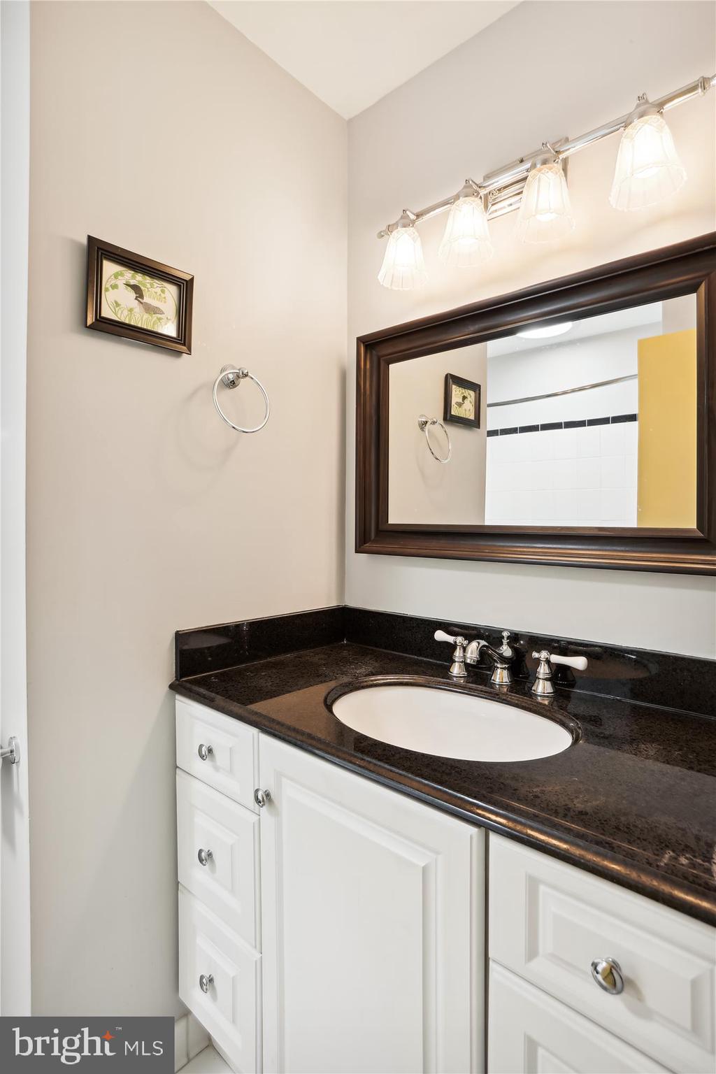 900 Windmill Lane Silver Spring, MD 20905 - Photo 44 of 83