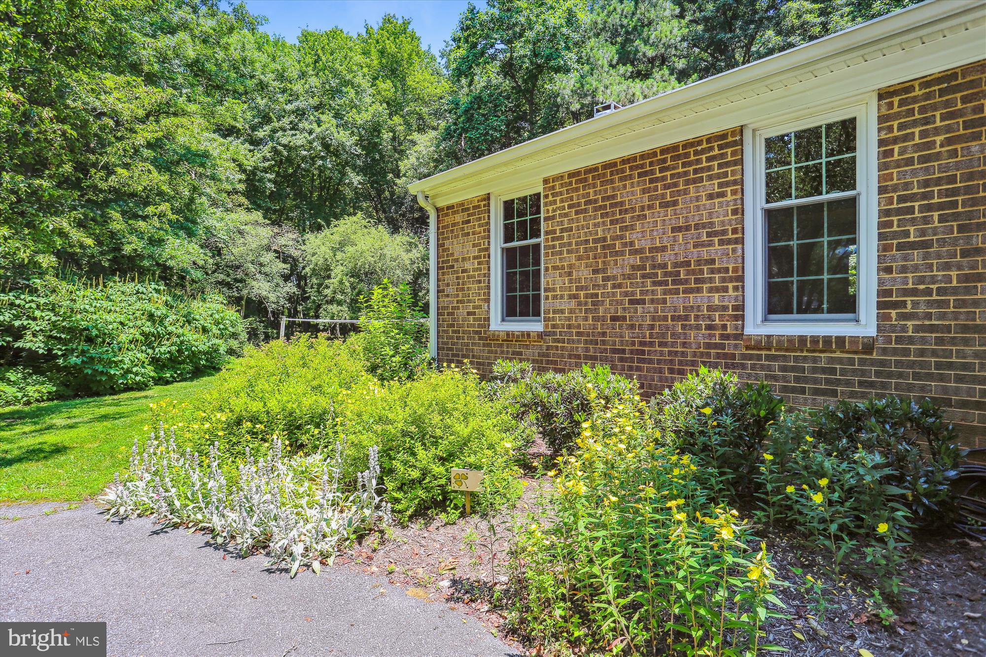 900 Windmill Lane Silver Spring, MD 20905 - Photo 5 of 83