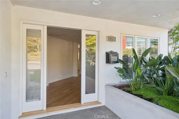 a room with window and a potted plant