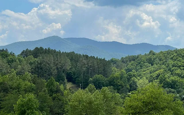 $69,999 | Lot 14 Saddle Ridge, Warne, NC 28909