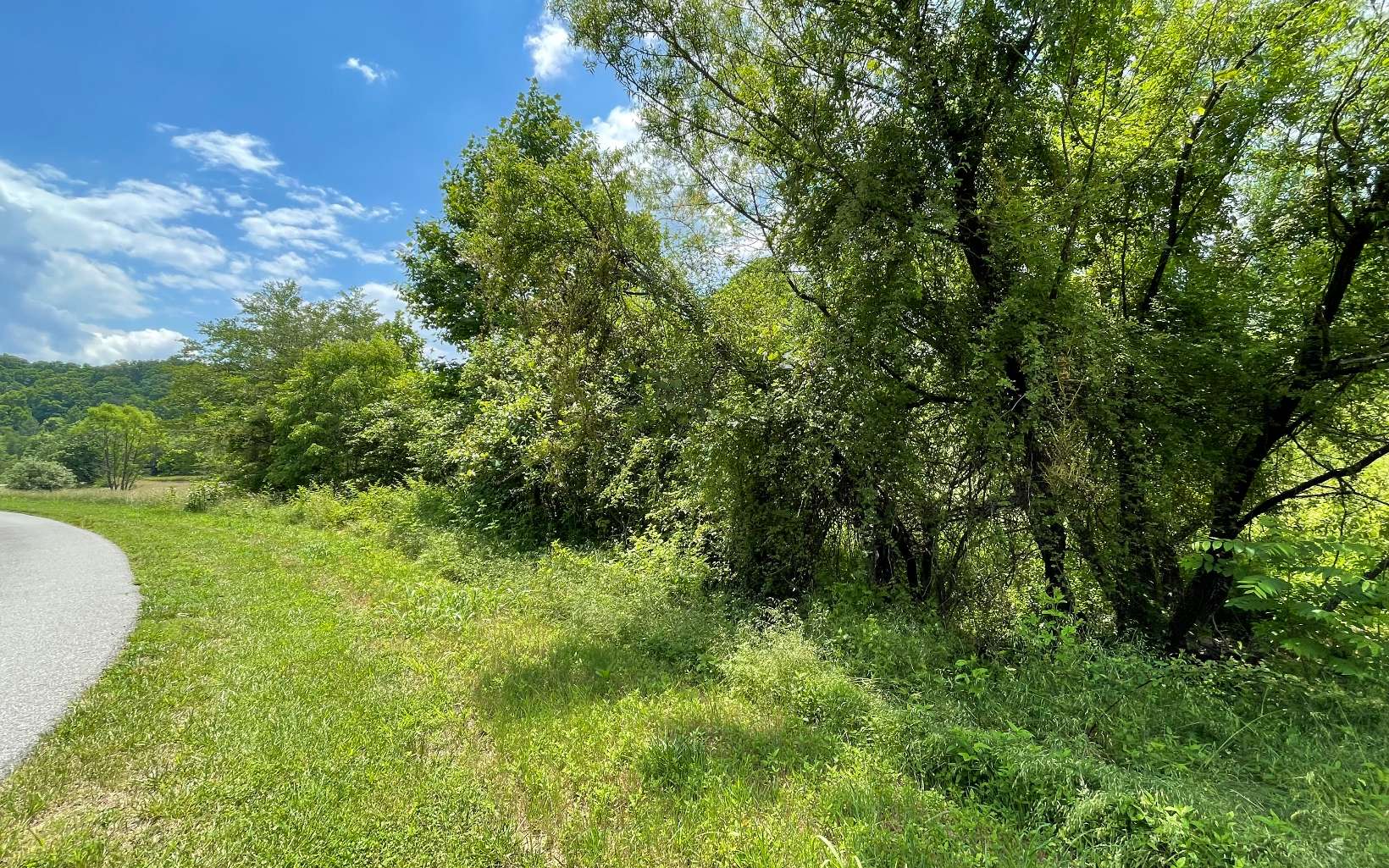 Lot 14 Saddle Ridge Warne, NC 28909 - Photo 11 of 28 Additional View