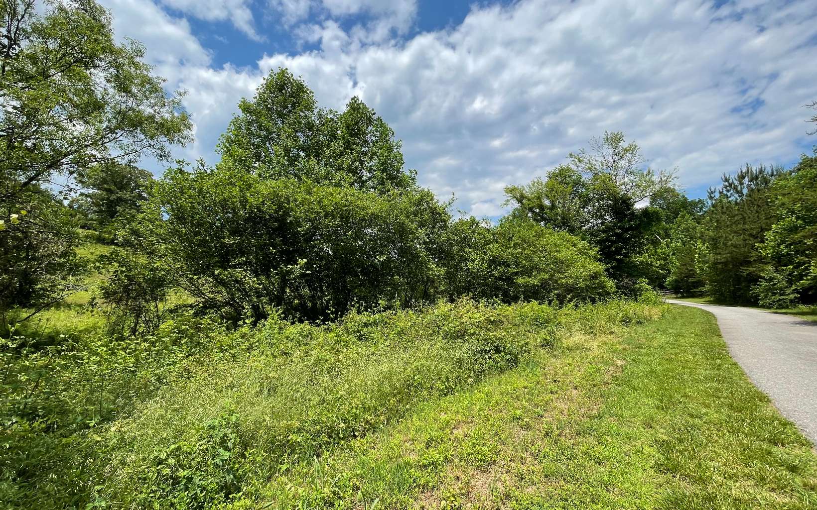 Lot 14 Saddle Ridge Warne, NC 28909 - Photo 13 of 28 Additional View