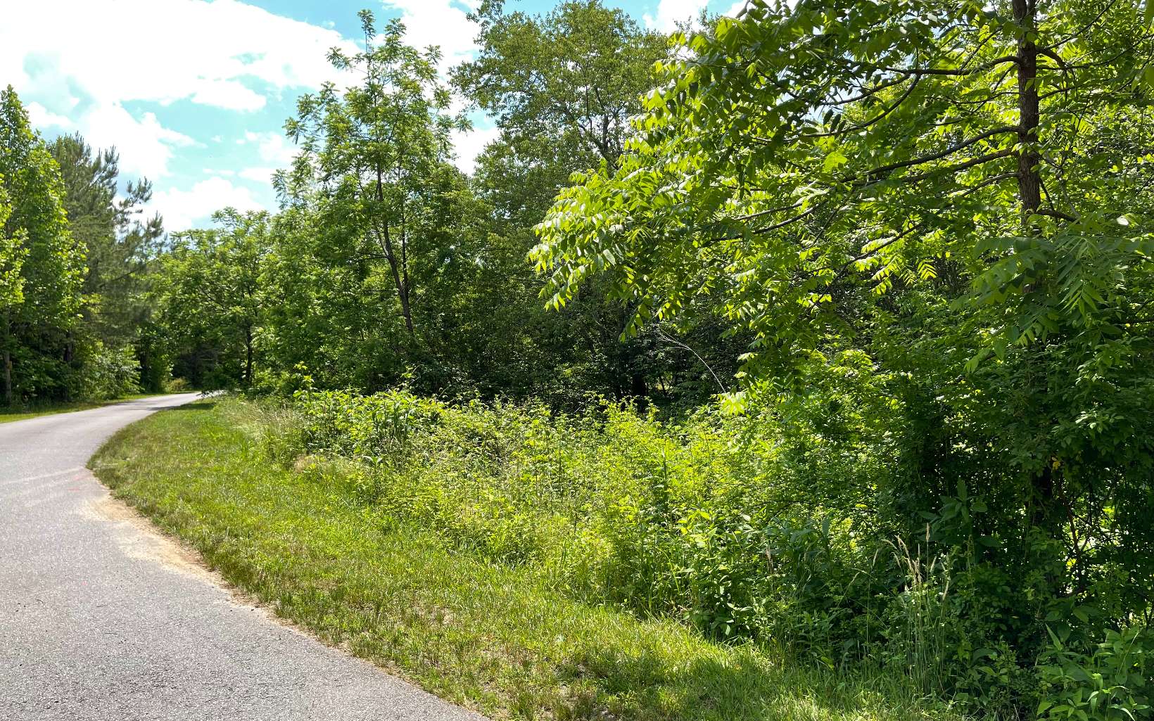 Lot 14 Saddle Ridge Warne, NC 28909 - Photo 14 of 28 Additional View