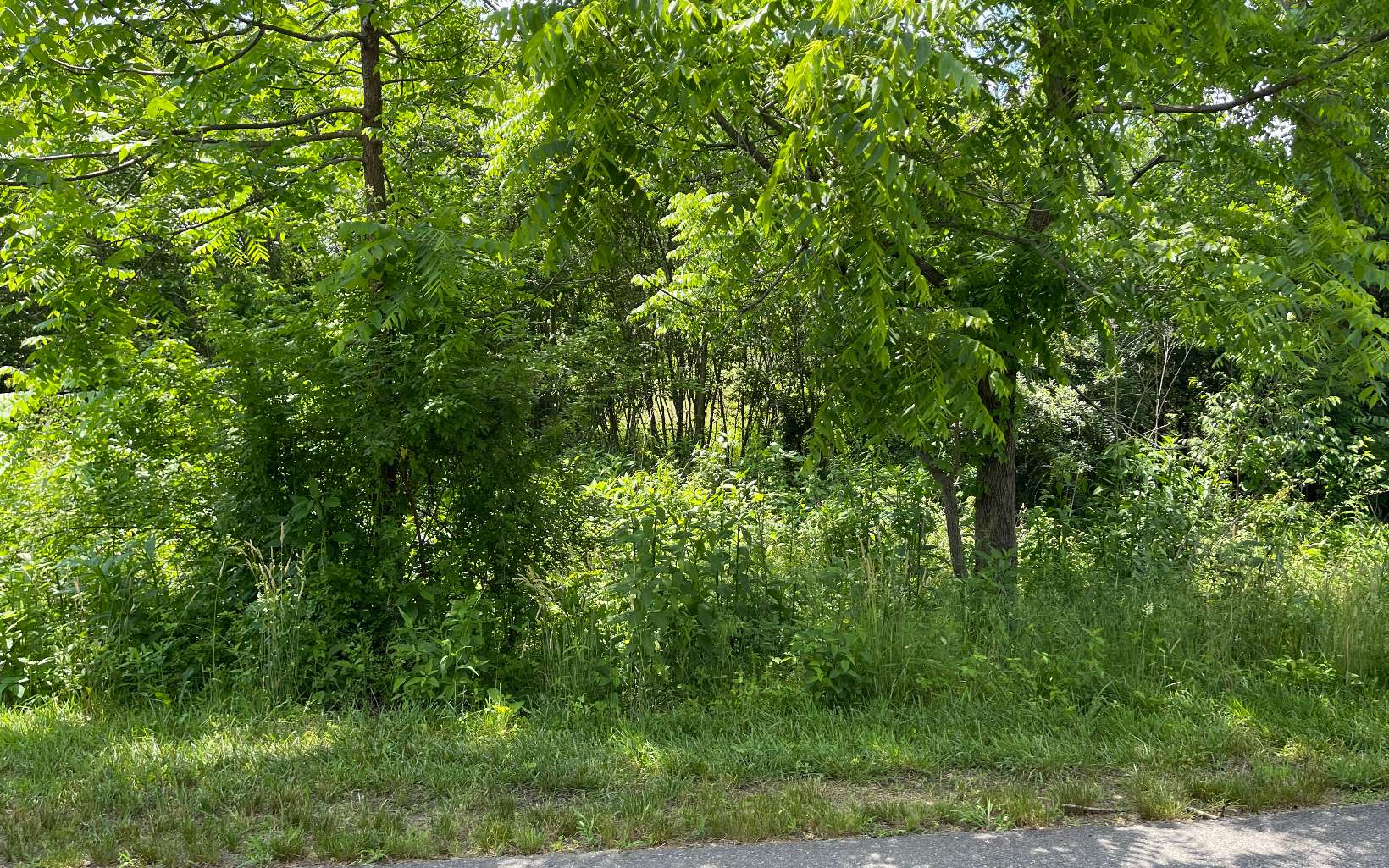 Lot 14 Saddle Ridge Warne, NC 28909 - Photo 15 of 28 Additional View