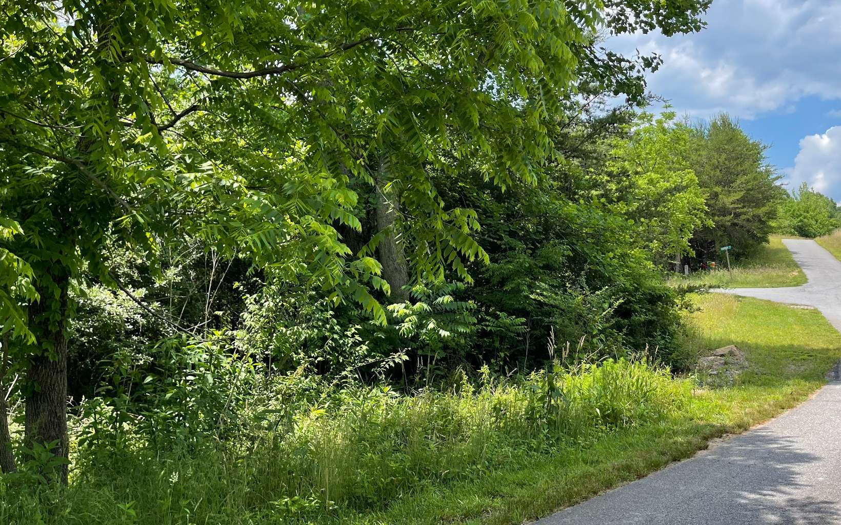 Lot 14 Saddle Ridge Warne, NC 28909 - Photo 16 of 28 Additional View