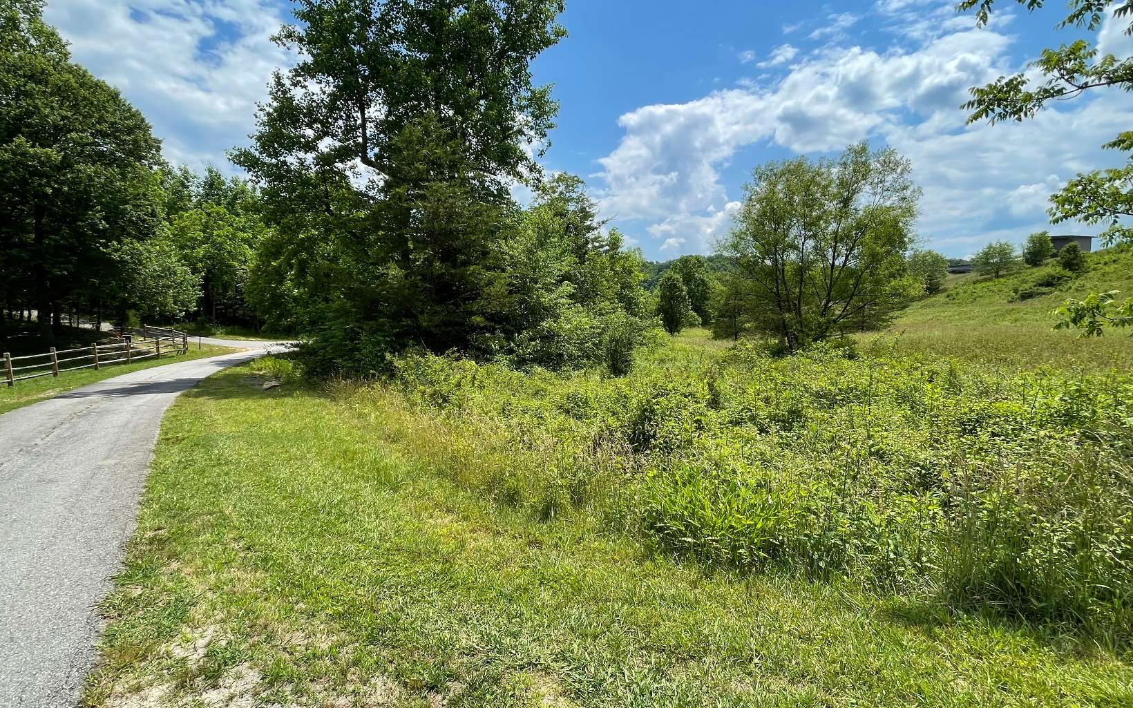 Lot 14 Saddle Ridge Warne, NC 28909 - Photo 17 of 28 Additional View