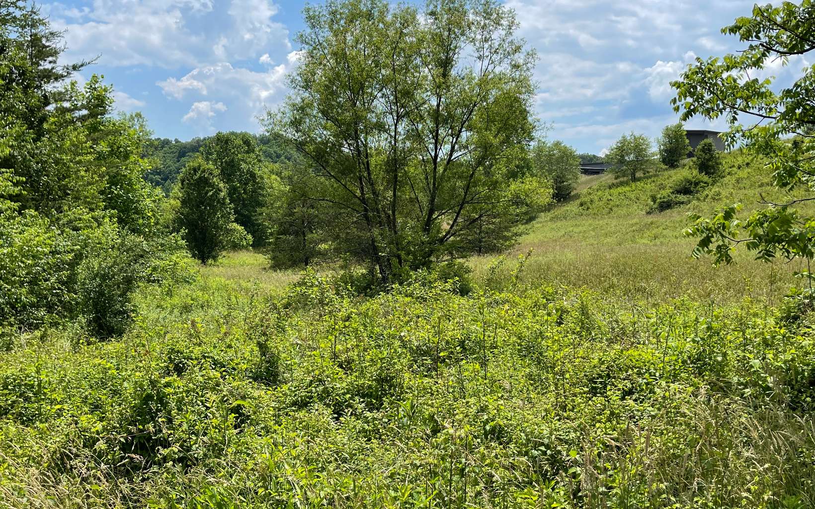 Lot 14 Saddle Ridge Warne, NC 28909 - Photo 19 of 28 Additional View