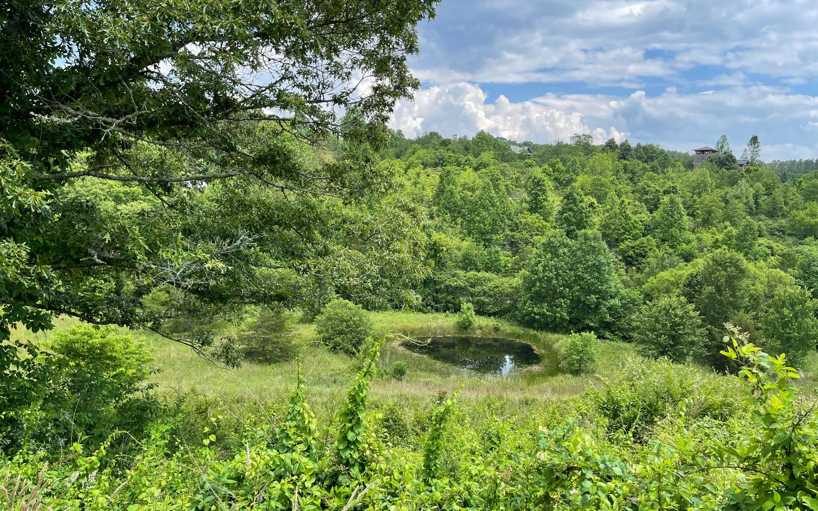 Lot 14 Saddle Ridge Warne, NC 28909 - Photo 24 of 28 Additional View