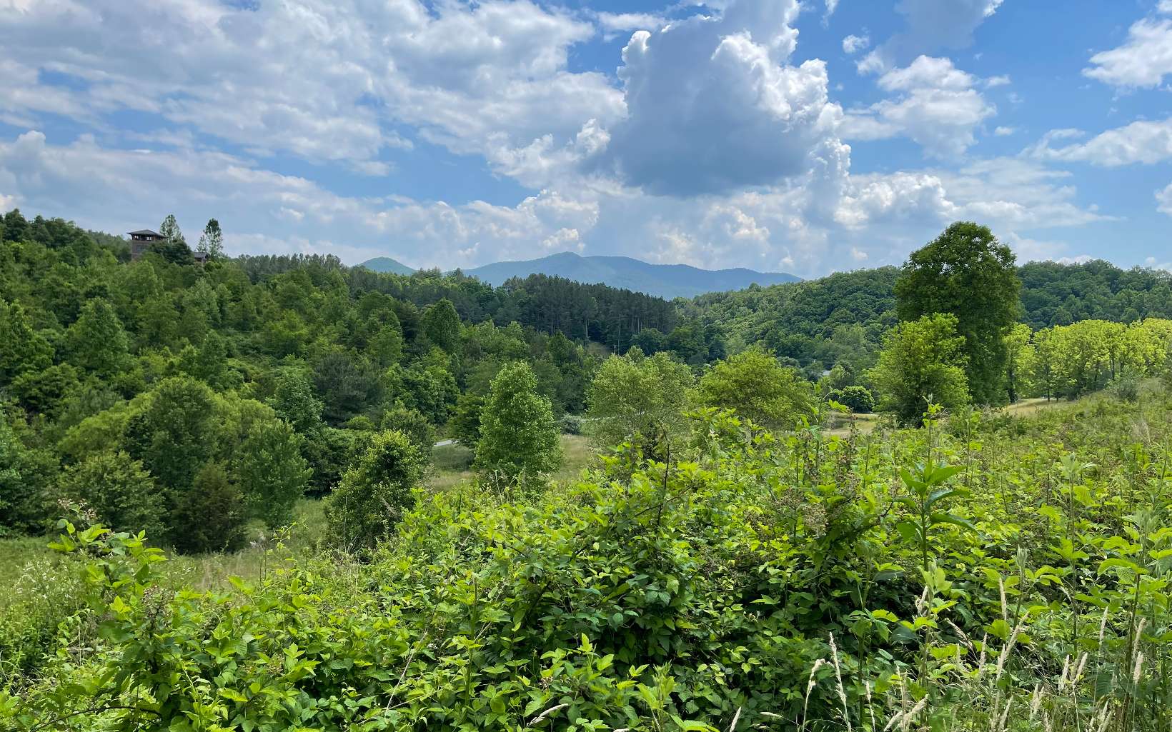 Lot 14 Saddle Ridge Warne, NC 28909 - Photo 26 of 28 Additional View