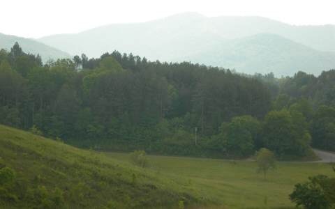 Lot 14 Saddle Ridge Warne, NC 28909 - Photo 6 of 28 Additional View