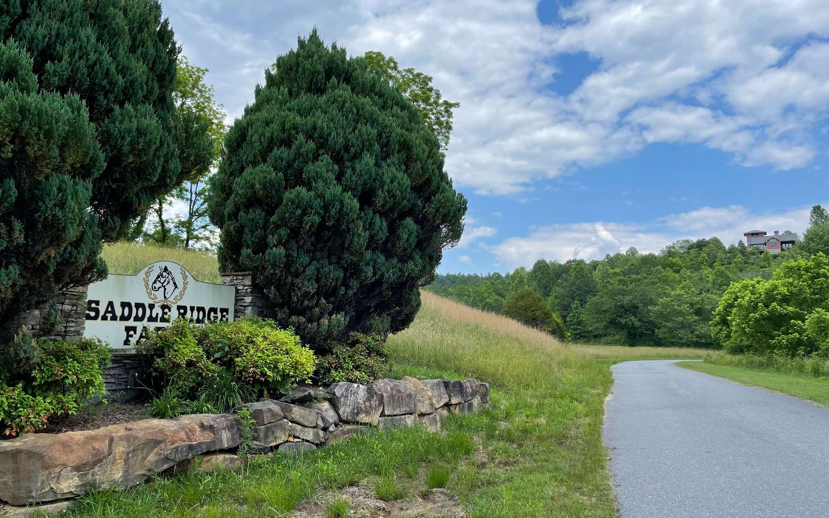 Lot 14 Saddle Ridge Warne, NC 28909 - Photo 8 of 28 Additional View