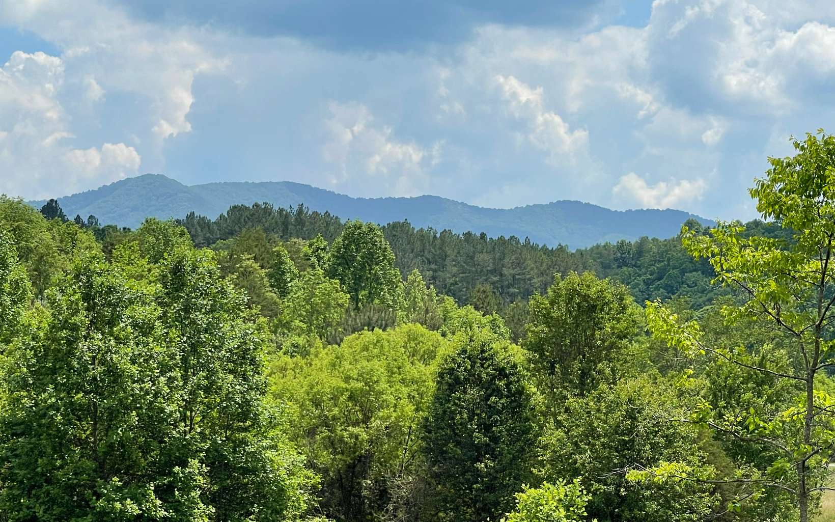 Lot 14 Saddle Ridge Warne, NC 28909 - Photo 10 of 28 Additional View